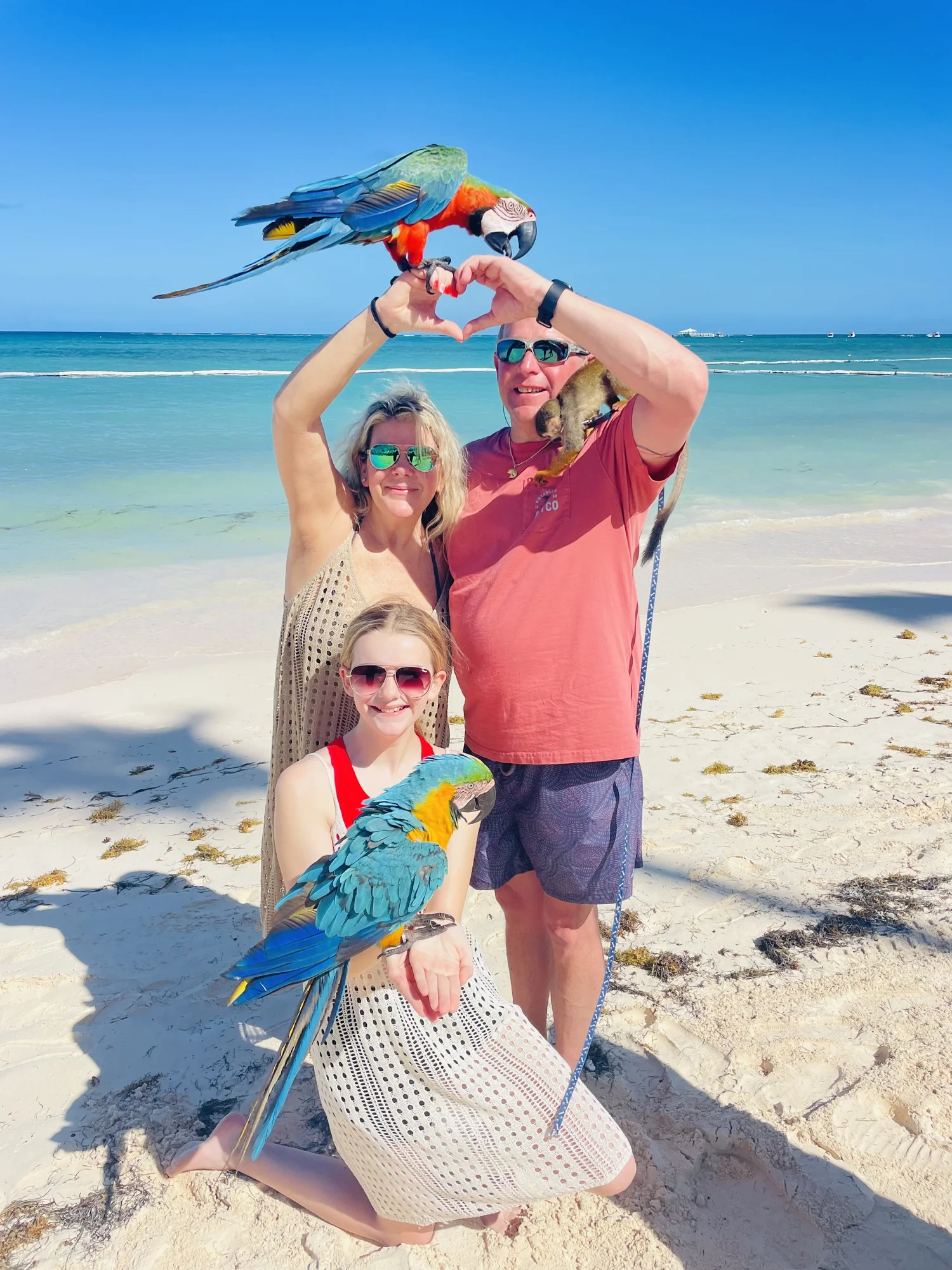 Kupono Solutions Family