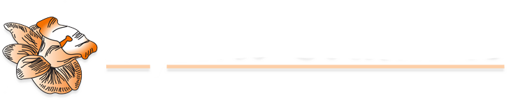 Kupono Solutions Logo